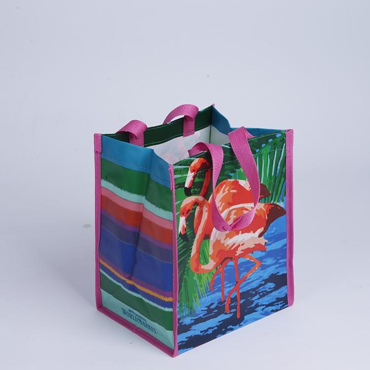 eco-friendly pp woven shopping bags